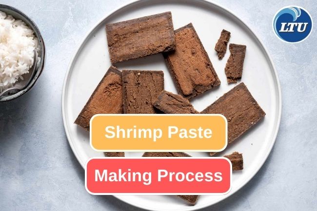 Take a Look at Shrimp Paste Making Process